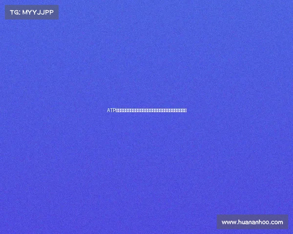 ATP世界巡回赛各项赛事奖杯的辉煌历史独特设计与冠军荣耀传奇探索